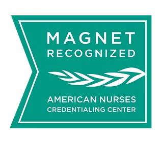 Magnet