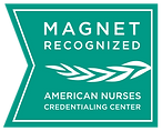 Magnet Recognition