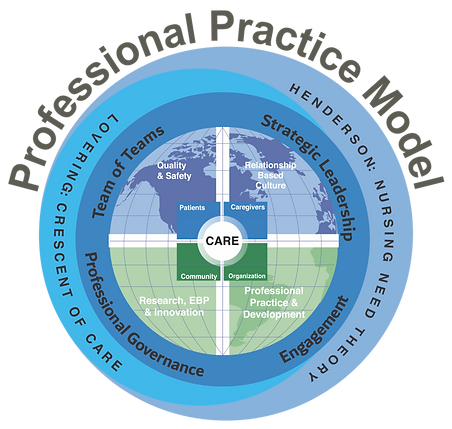 Nursing Practice Model